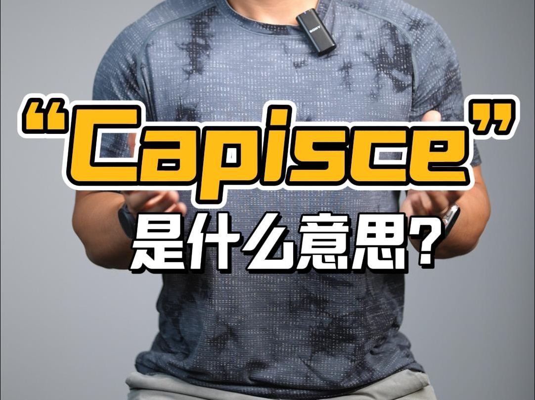 实用英语| 有一种威胁叫“Capisce”❓哔哩哔哩bilibili