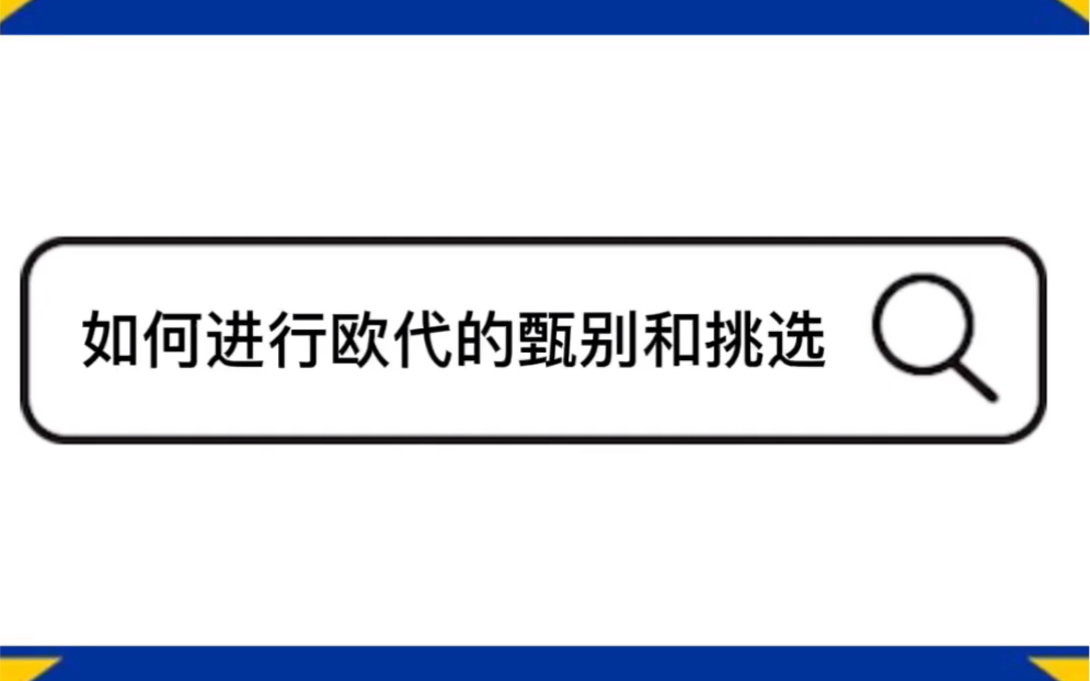 如何进行欧代的甄别和挑选?#欧代#欧盟新政哔哩哔哩bilibili