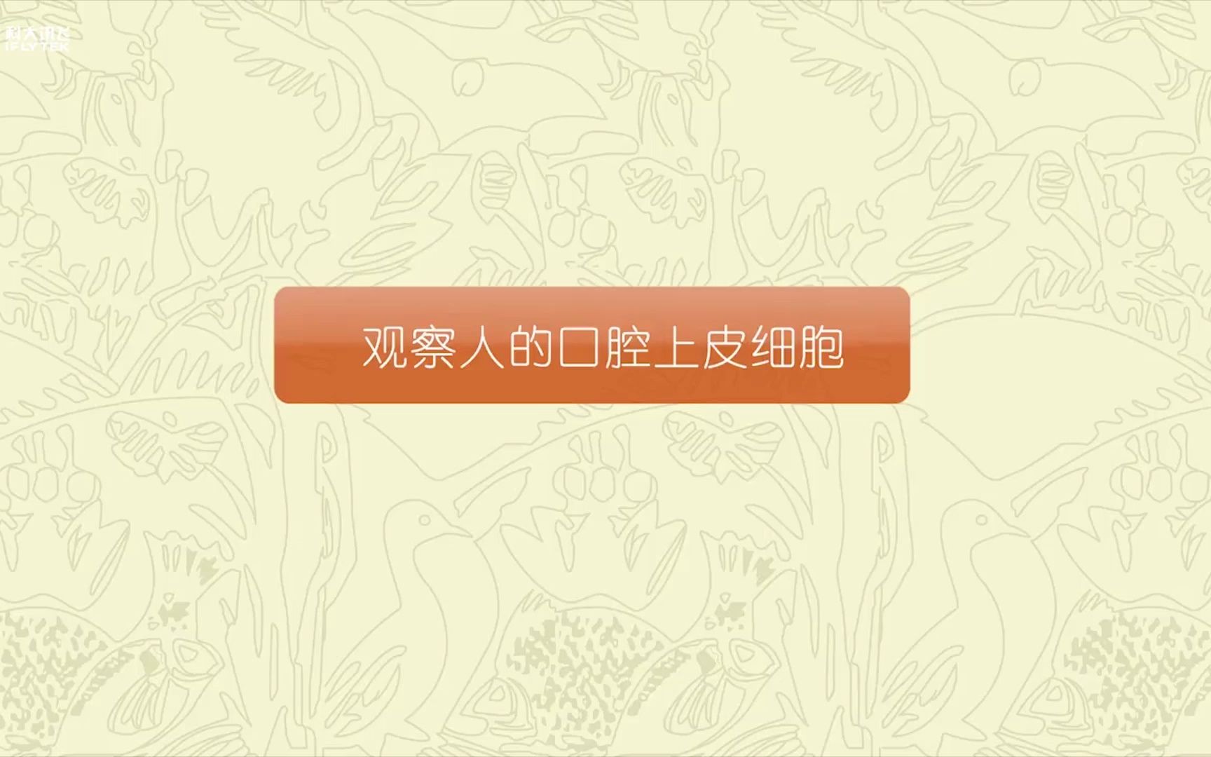 【教学实验】观察人的口腔上皮细胞哔哩哔哩bilibili