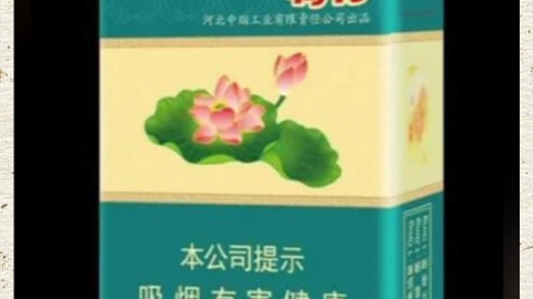 荷花烟软荷花哔哩哔哩bilibili