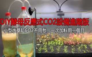 不用co2 哔哩哔哩 Bilibili