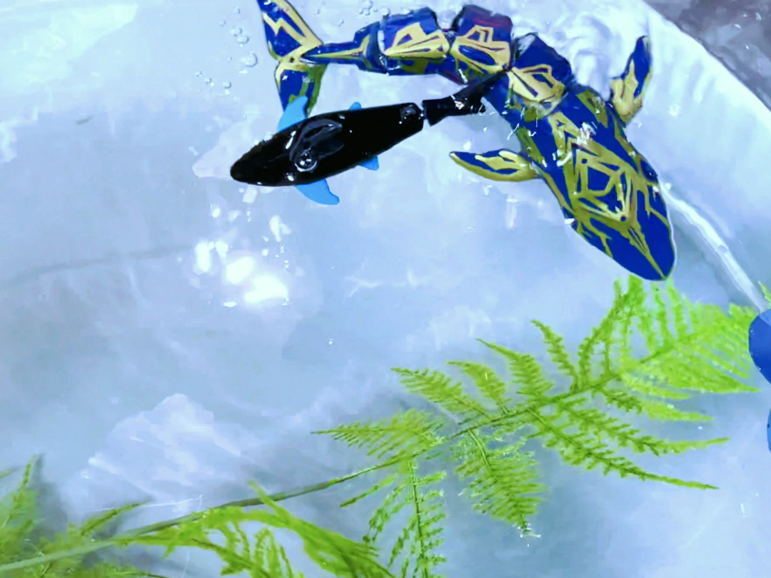 家里有喜欢养鱼的一定要养一条这样遥控鲸鱼