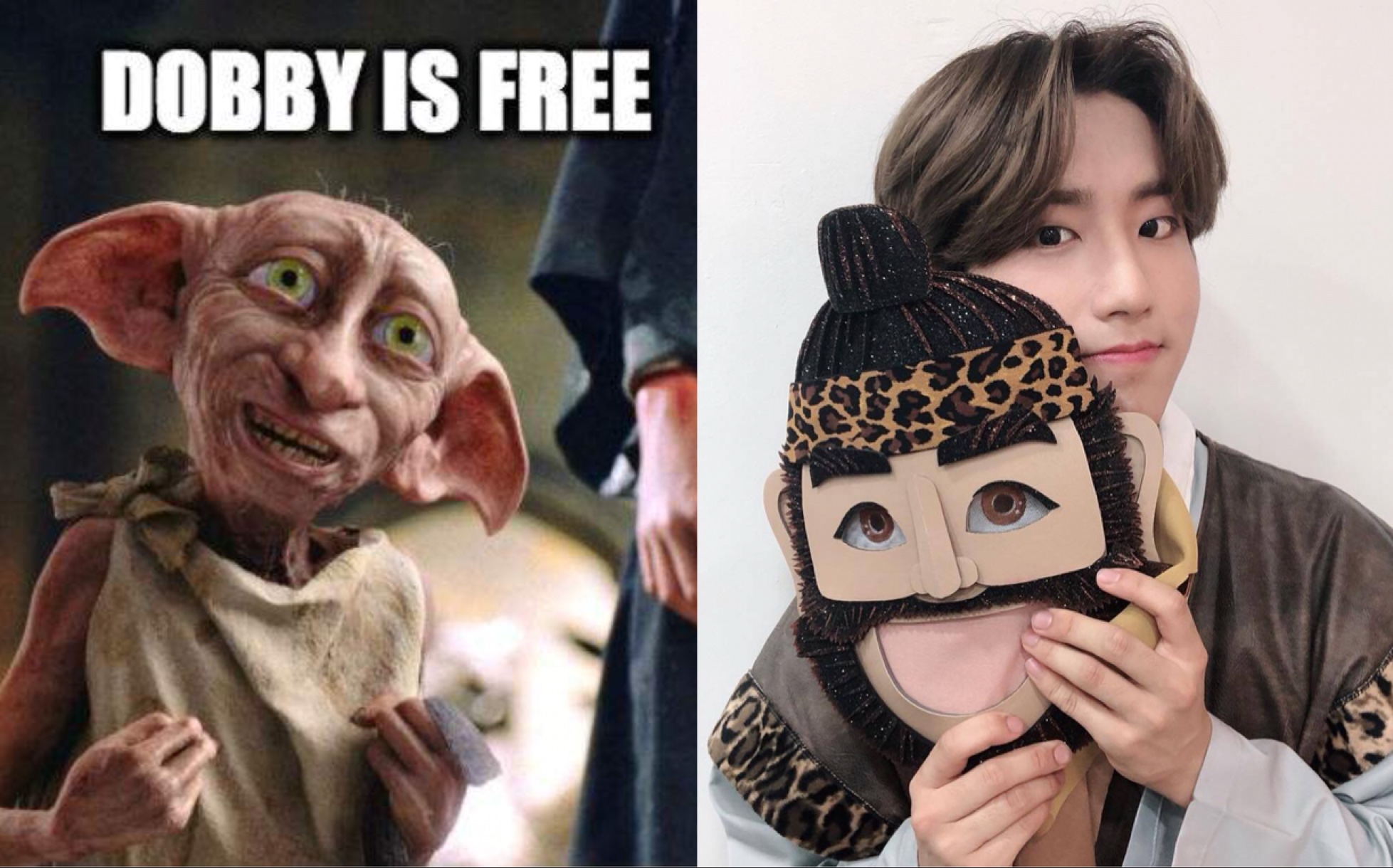 多比韩知城韩知城是一个自由的小精灵