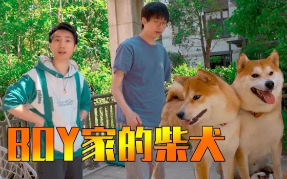 柴犬dio的个人空间 哔哩哔哩 Bilibili