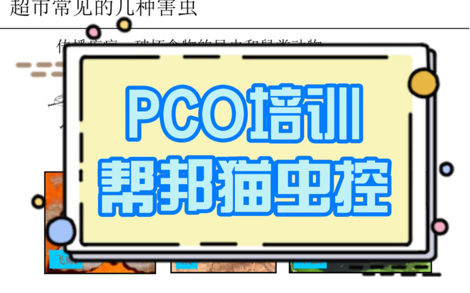 PCO有害生物防治培训,有害生物防治员必学哔哩哔哩bilibili