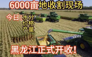 Download Video: 4000多万的农业机械，收割黑龙江玉米第一刀现场！