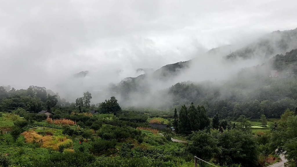 [图]雾起云集，花随风散。