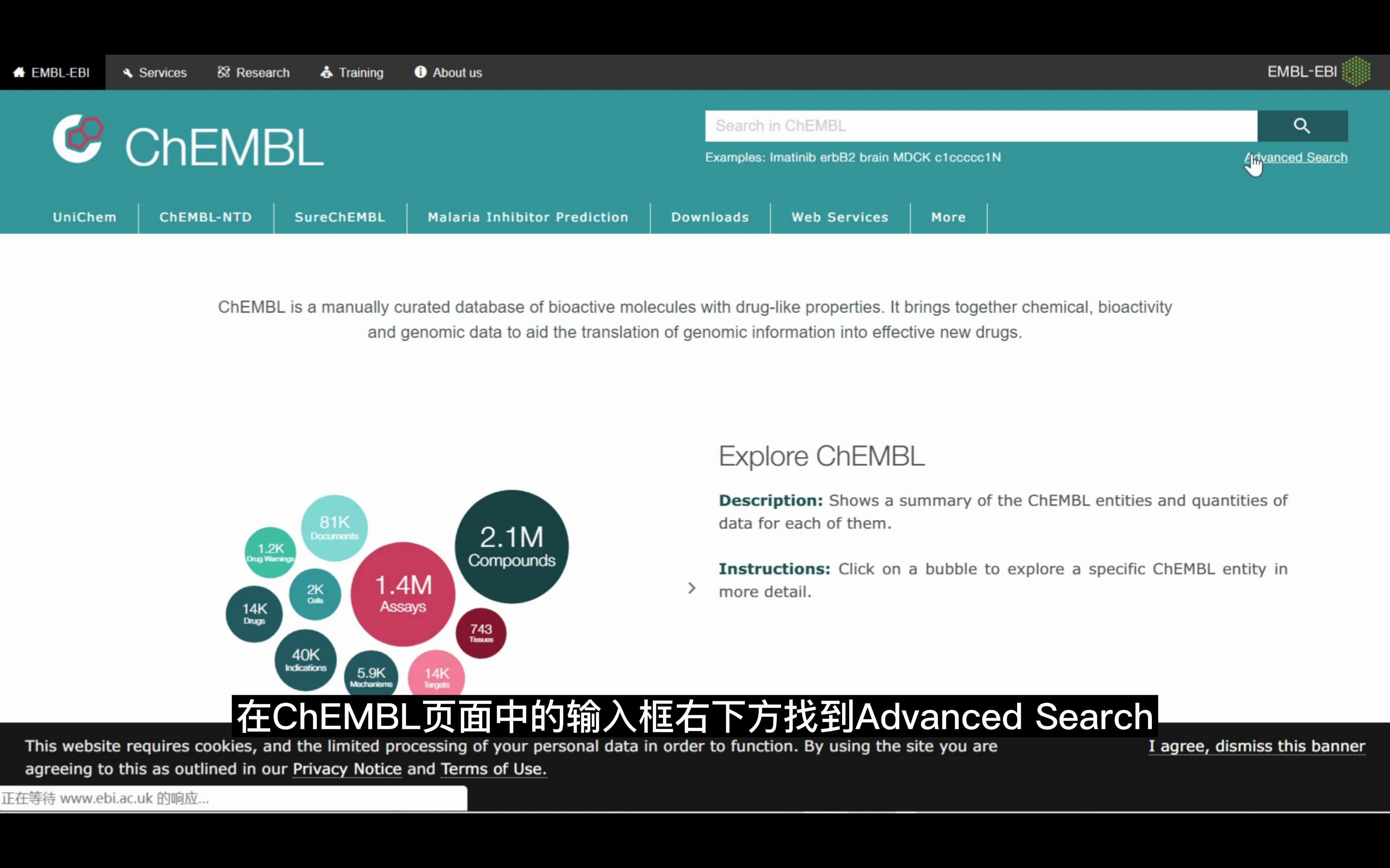 在ChEMBL上查小分子信息的方法哔哩哔哩bilibili