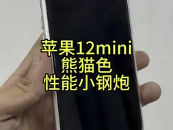 Télécharger la video: 苹果12mini