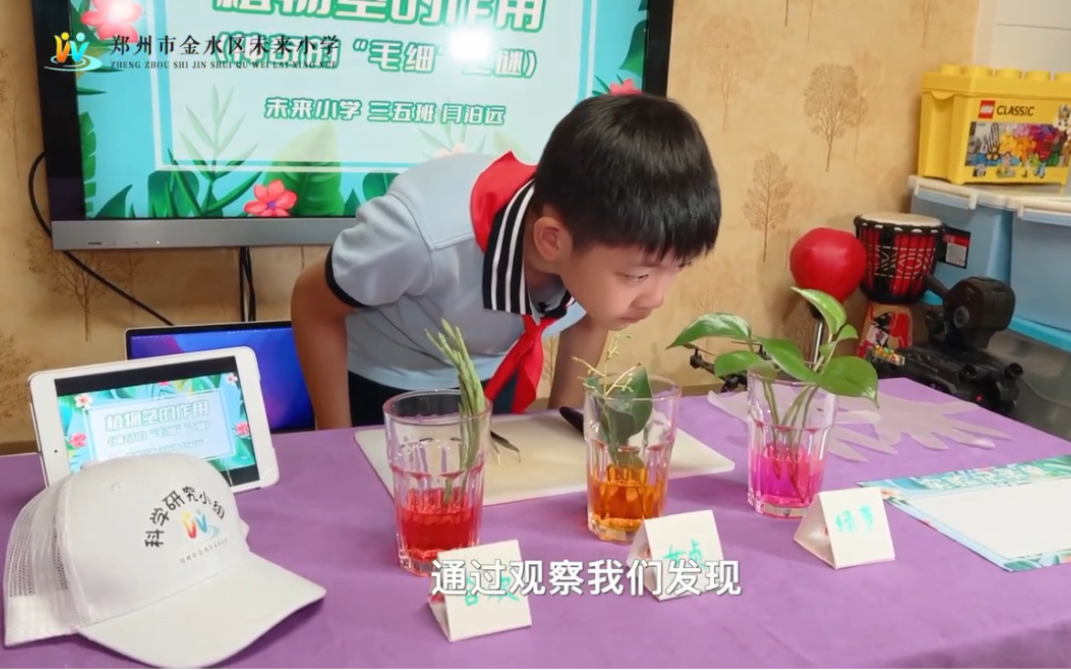 #科学研究小组 植物茎的作用——神奇的“毛细”之谜哔哩哔哩bilibili