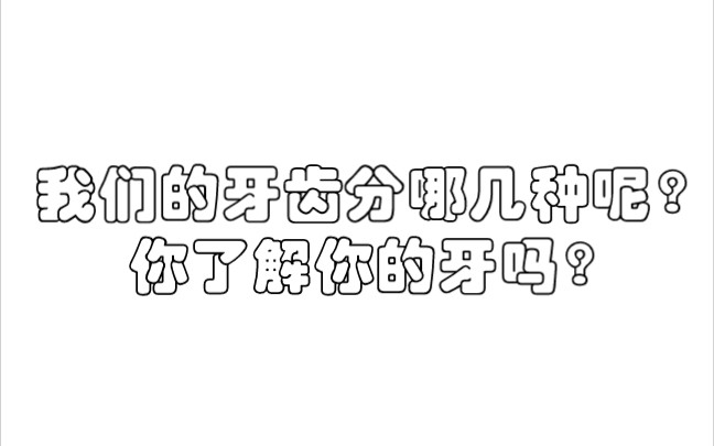 【口腔科普】牙齿是人体最坚硬的器官~快来跟我认识一下我们的牙齿哔哩哔哩bilibili