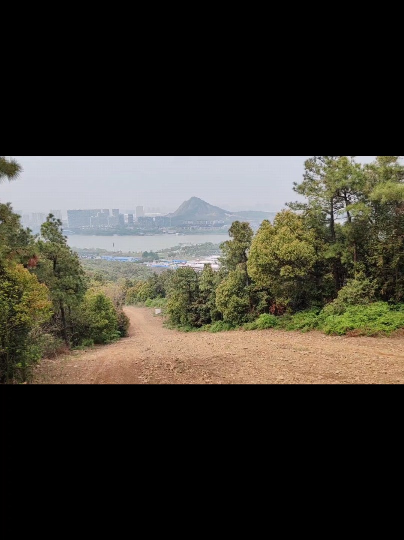 清明节气,爬一下江阴的最高山,定山旁的羊头山哔哩哔哩bilibili