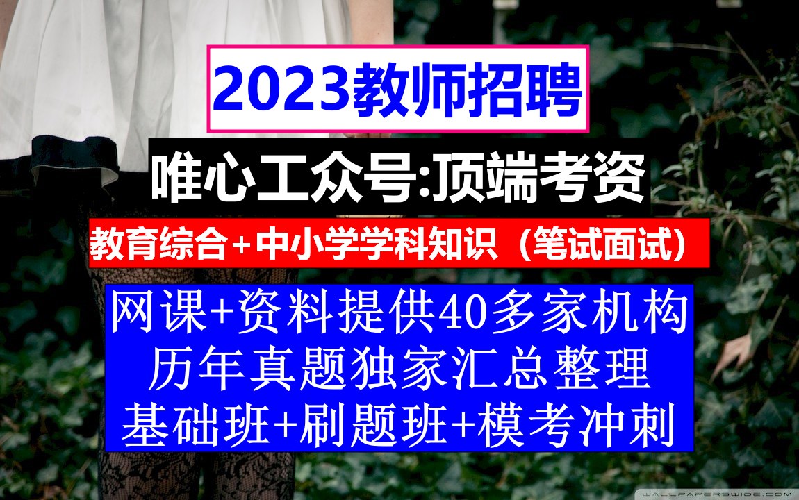 河南省教师招聘—幼儿园招聘,教师招聘考试公告,教师招聘信息哔哩哔哩bilibili