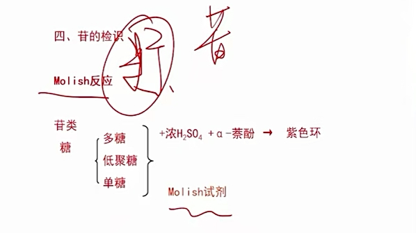 药士08.【第4章:天然药物化学】第23节苷类香豆素类哔哩哔哩bilibili