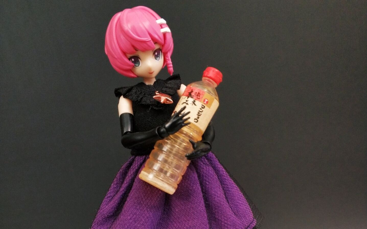 有妹妹的感觉了 御模道甲虫娘02