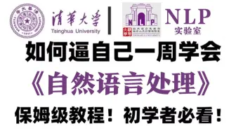 【整整300集】清华大学50小时讲完的【自然语言处理NLP】从入门到精通全套教程，文本处理、注意力机制、transformer、大模型微调，全程干货无废话！