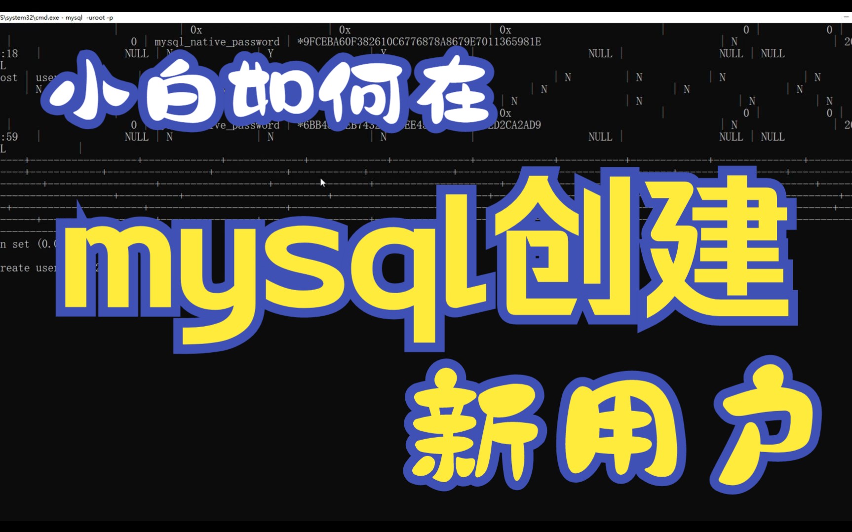 小白怎么在mysql创建新用户并登入哔哩哔哩bilibili