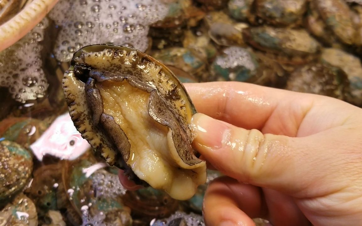 大叔教你做海鲜粥湛江特产生蚝鲍鱼沙虫原汁原味营养丰富做法简单