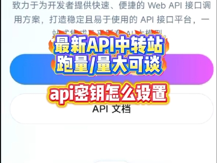 api中转站-api密钥怎么设置