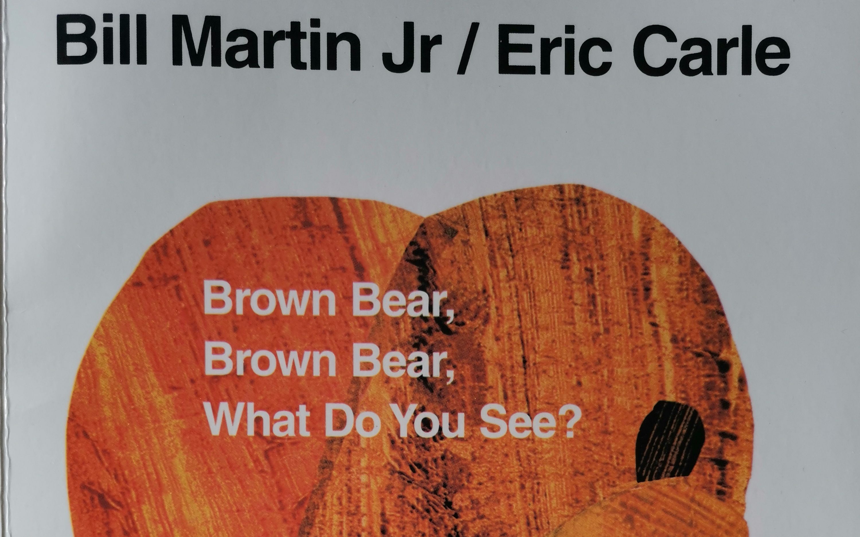 [图]Brown bear what do you see