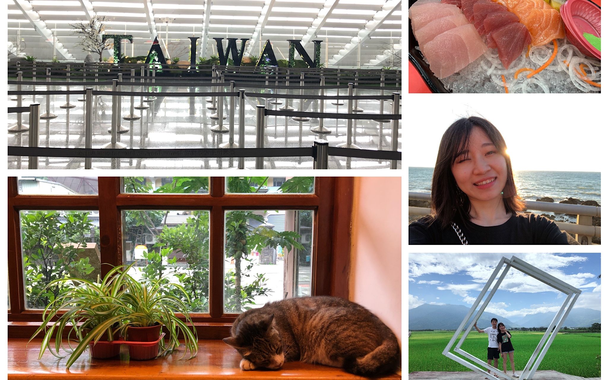 活动作品summer的台湾vlogpart1