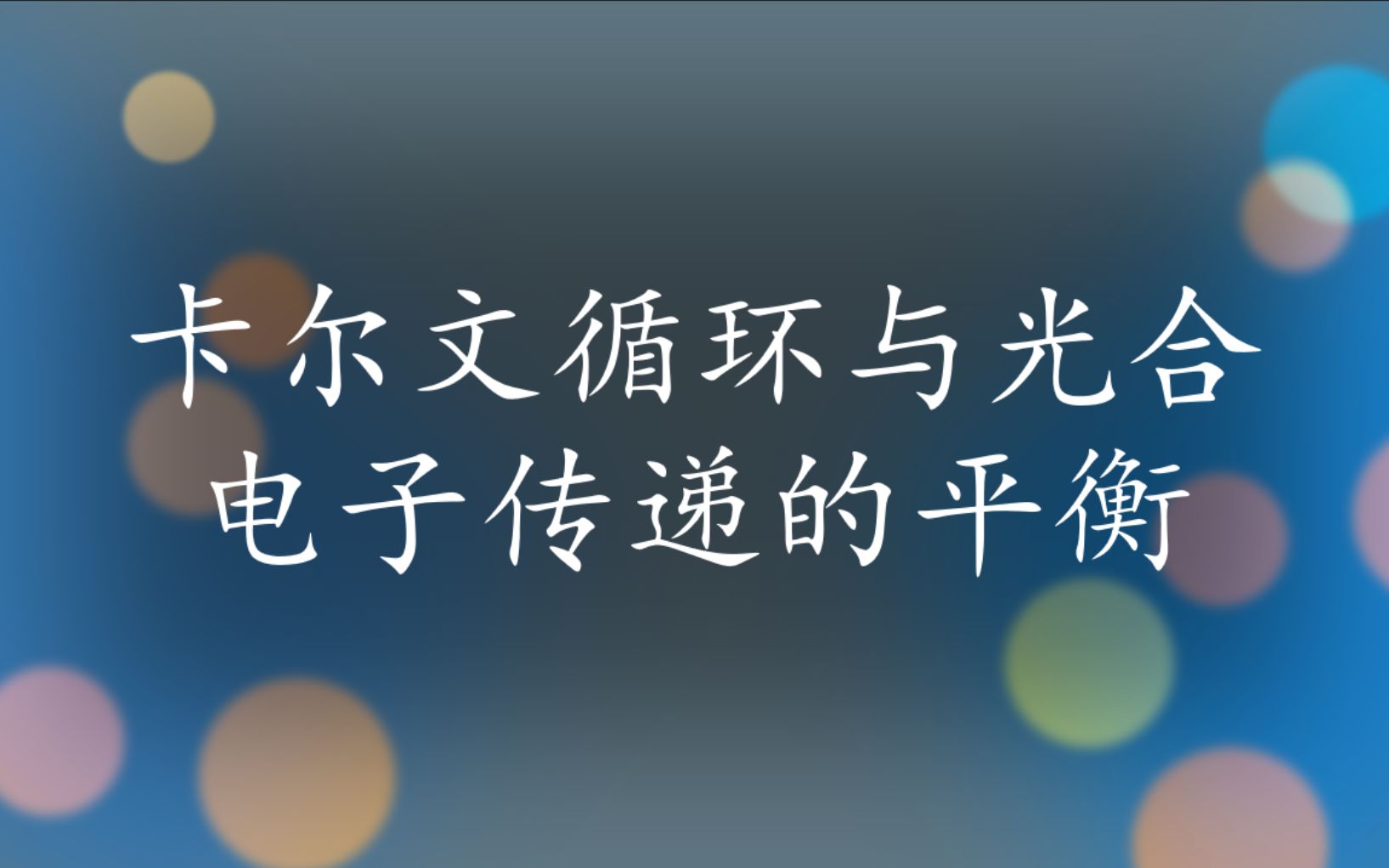 2021国际植物生理培训班7:卡尔文循环与光合电子传递的平衡哔哩哔哩bilibili