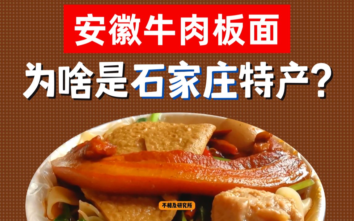 【正经研究】不吃安徽正宗牛肉板面,等于没来过石家庄哔哩哔哩bilibili