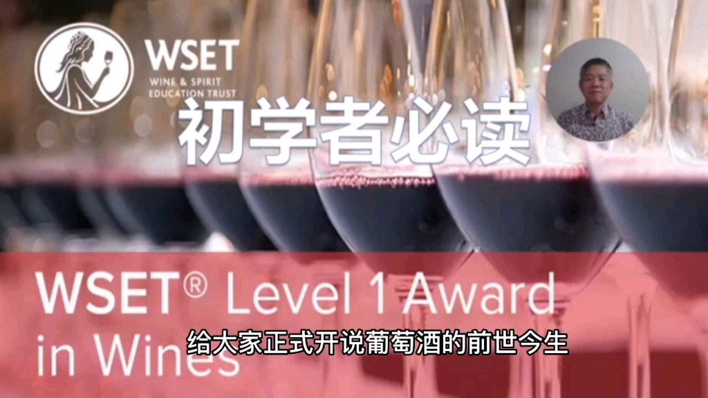 给WSET起步的酒友们最好的礼物——来自高分通过考试的感悟 #WSET #葡萄酒 #品酒师 #时间胶囊哔哩哔哩bilibili