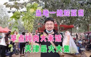 Download Video: 天津周边第一大集，当地特色小炖肉烩豆腐，早点两菜一汤