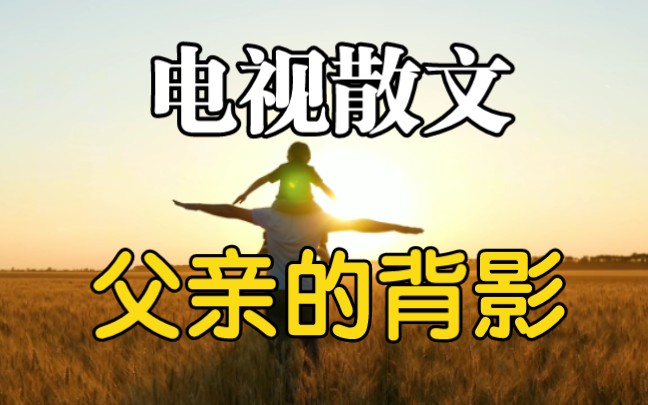 电视散文:父亲的背影哔哩哔哩bilibili