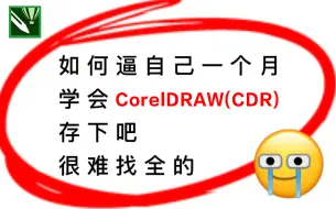 Скачать видео: 【40集精华版】花了3W买来的！目前B站最完整的CorelDRAW教程，大佬亲自教学！！肝完CDR入门级教程，即可兼职接稿！秒变设计大神