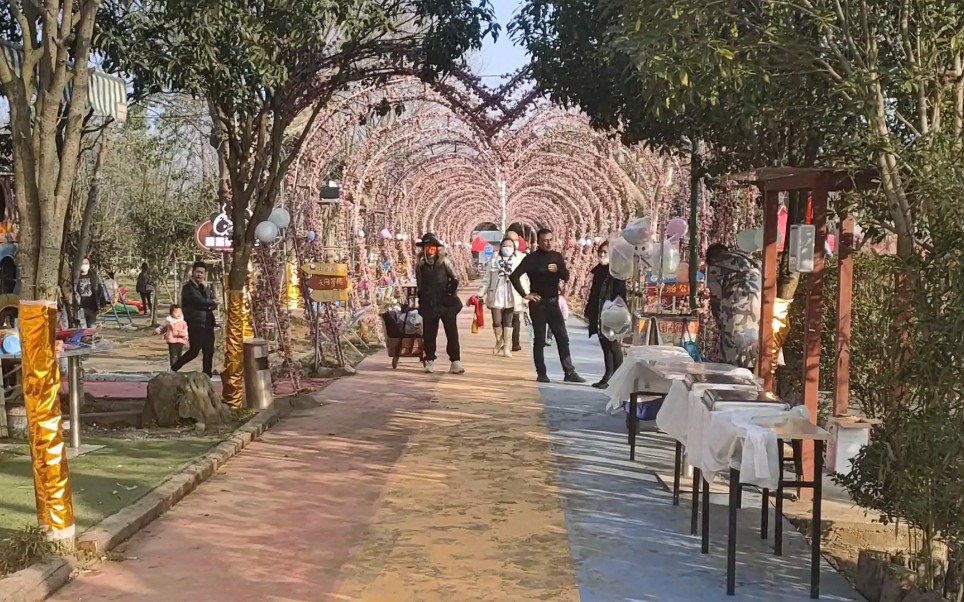 今天来到了秦巴民俗村挺有特色的里边养了好多可爱的小动物