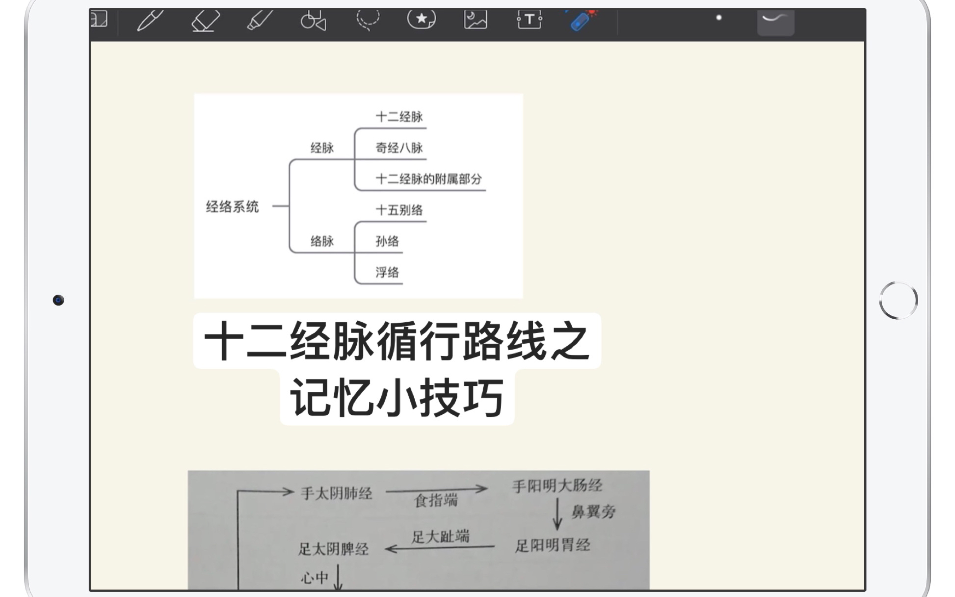 [图]十二经脉循行路线之记忆小技巧