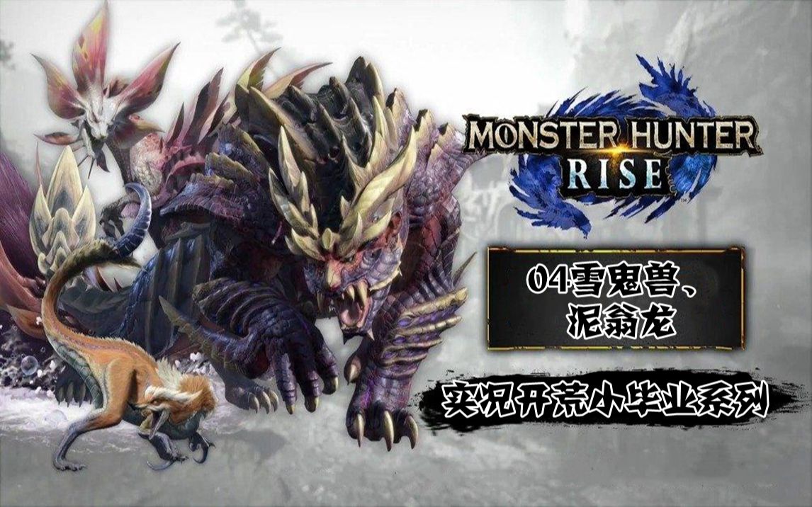 ns【怪物猎人/崛起rise】村实况系列04/雪鬼兽/泥翁龙