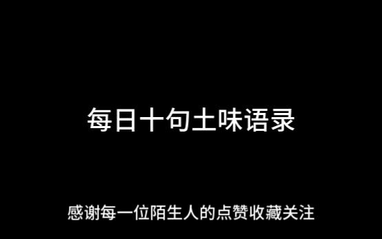 【土味语录】很土很实用,建议反复背诵!哔哩哔哩bilibili