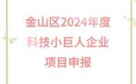 金山区2024年度科技小巨人企业项目申报哔哩哔哩bilibili