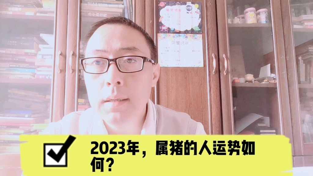 2023年,属猪人的运势如何?哔哩哔哩bilibili