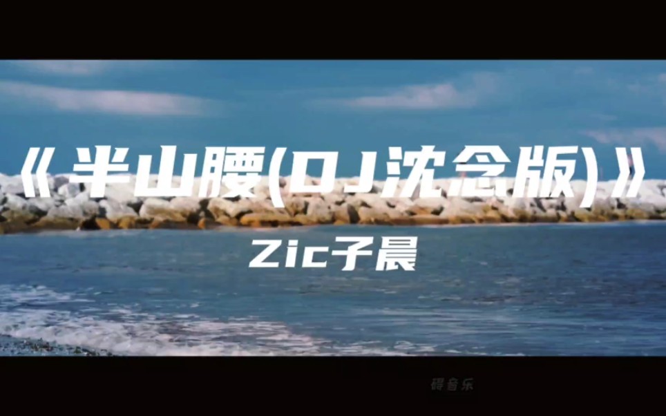 《半山腰(DJ沈念版)》Zic子晨~曾经我孤陋寡闻 曾经我太过天真 现在都成为我前进的资本哔哩哔哩bilibili