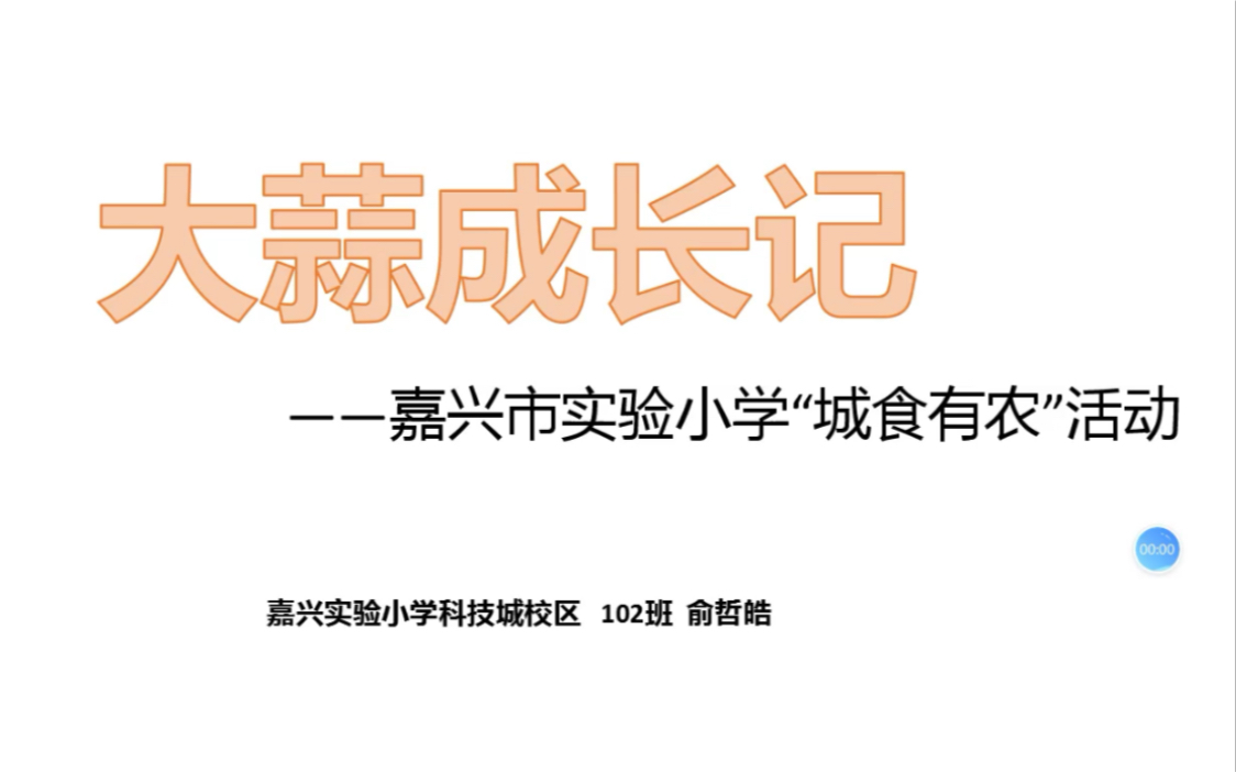 大蒜成长记—嘉兴市实验小学“城食有农”活动哔哩哔哩bilibili