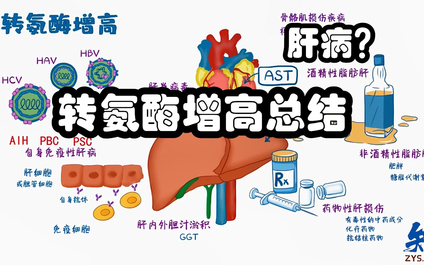 医学知识点 健康体检时发现 转氨酶增高的原因总结哔哩哔哩bilibili