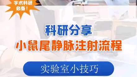 小鼠尾静脉注射流程 #小鼠实验 #实验小技巧 #实验室日常 #医学科研
