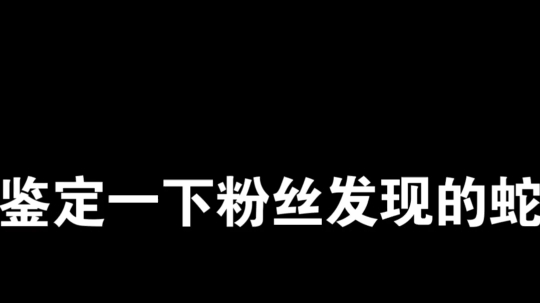 荒山野岭暴毙蛇尸!附近明明一条蛇都没有,这条蛇是哪来的?究竟因何原因而死亡?哔哩哔哩bilibili