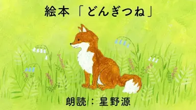 どんぎつね-哔哩哔哩_Bilibili