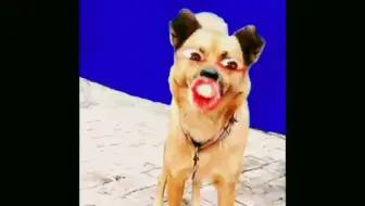 单身汪：敢问媳妇在何方