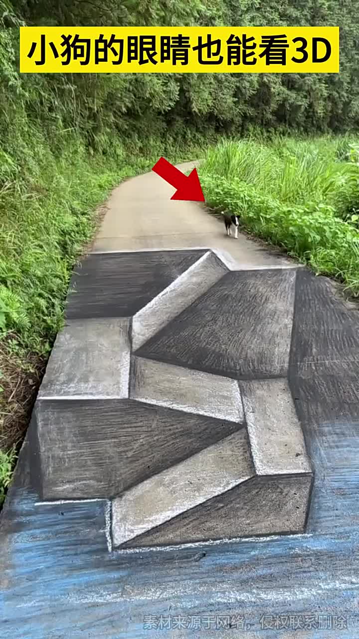 道路立体画的视觉错误