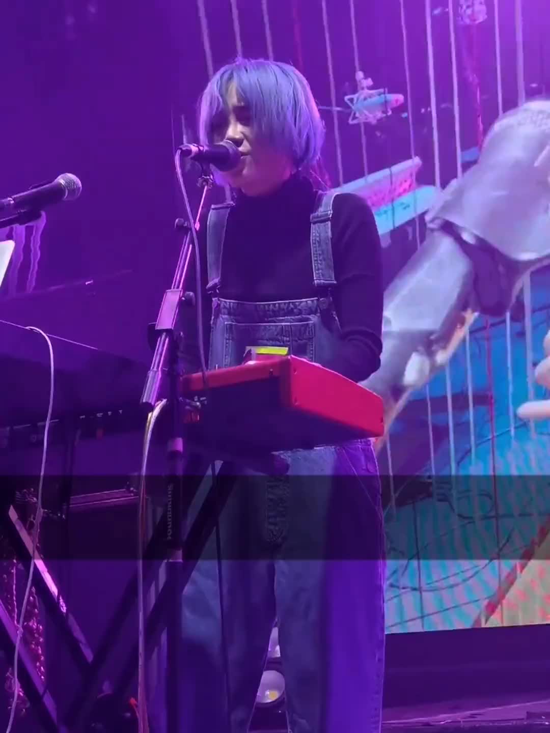 你一定要看到花开福禄寿福禄寿乐队