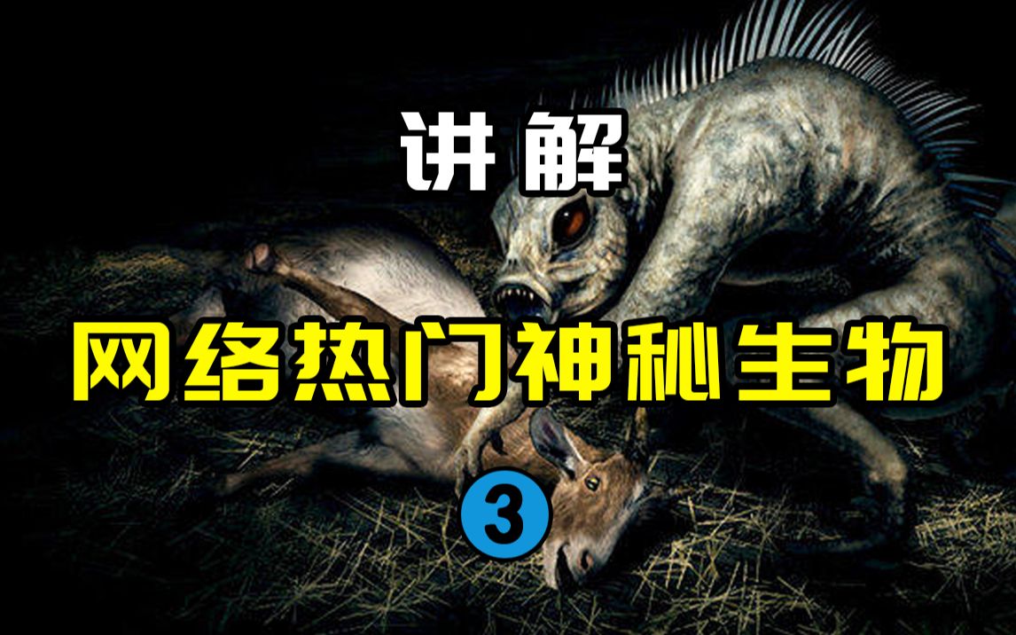 [图]【网络热门神秘生物3】CCTV-10的童年阴影！？传说中的吸血怪物真的存在吗？