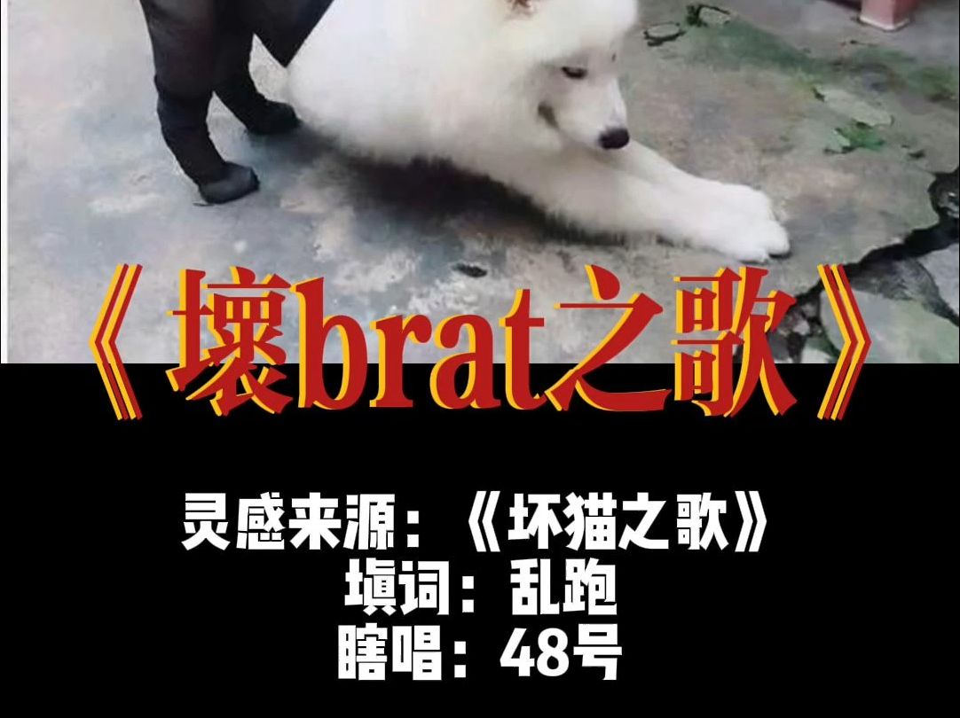 《坏brat之歌》哔哩哔哩bilibili