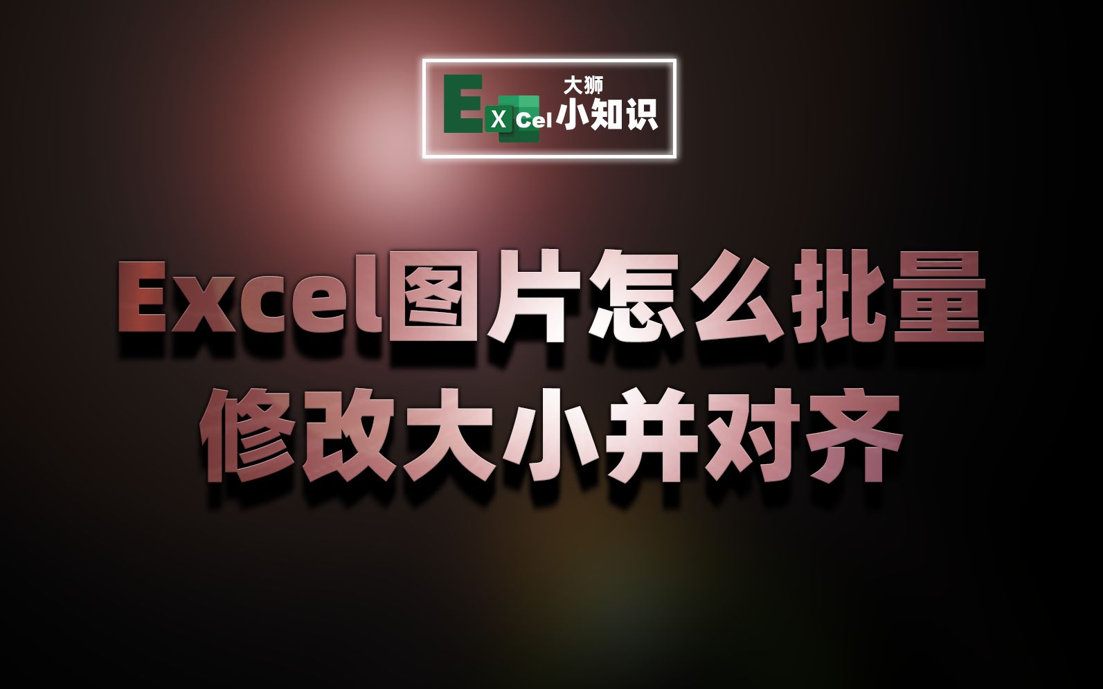 Excel如何快速统一图片大小并对齐?网友:全网难得良心教学,建议收藏!哔哩哔哩bilibili