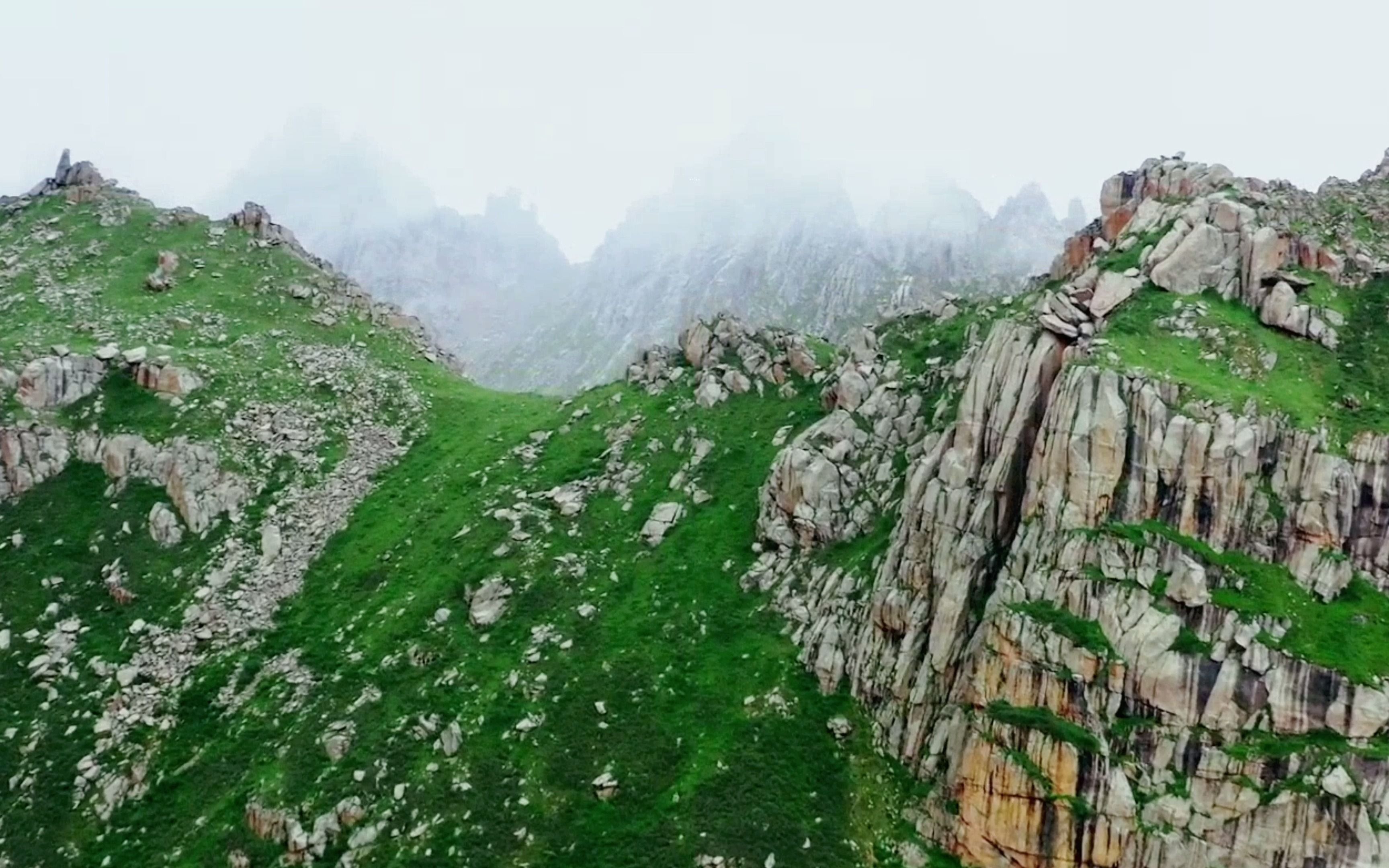 [图]祖国美丽的高山草原